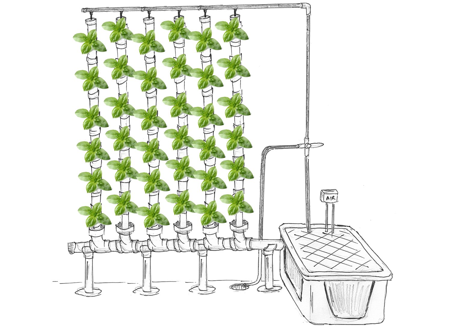 Diagram of the six-tower hydroponic system with reservoir and pump